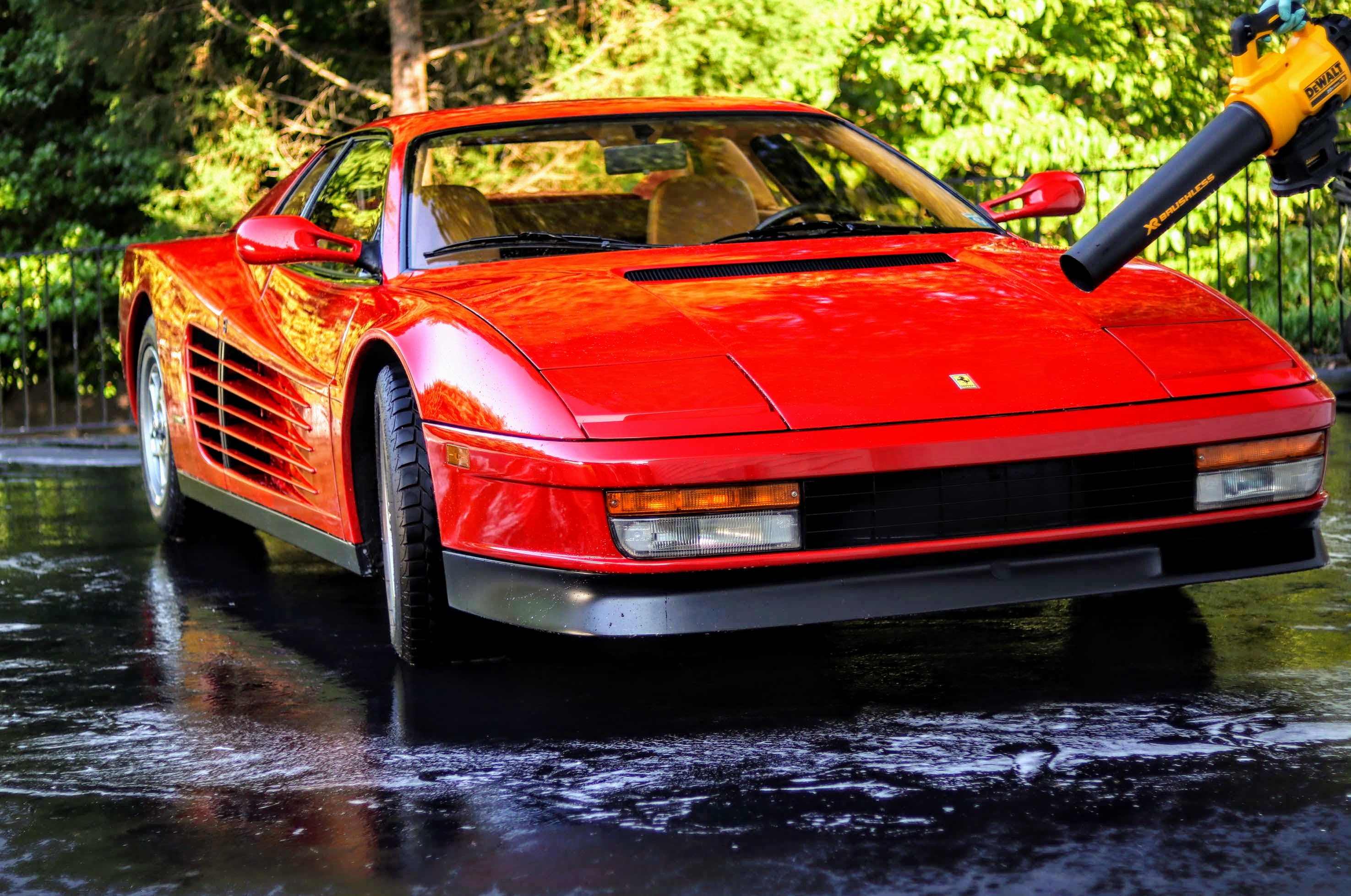 Drying the Ferrari Testarossa with the Dewalt 20v Battery Powered Blower Drying the Ferrari Testarossa with the Dewalt 20v Battery Powered Blower